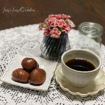 栗の実の画像 by fumi-fumiさん | キッチンとティータイムと栗の実と栗の渋皮煮
