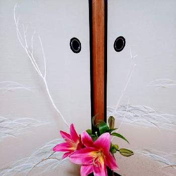 オリエンタルユリの画像 by 梅林堂さん | 和室とスプレー菊とオリエンタルユリとサラシミツマタといけばな