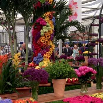 チェルシーフラワーショーの投稿画像一覧 Greensnap グリーンスナップ