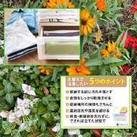 テイカカズラの育て方 植え付け時期は 毒を持っている Greensnap グリーンスナップ テイカカズラの育て方 植え付け時期は 毒を持っている Greensnap グリーンスナップ