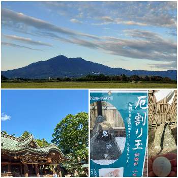 厄除けの投稿画像一覧 Greensnap グリーンスナップ