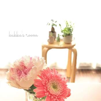 花瓶合わせの画像 by kukkaさん | デスクとカーネーションとガーベラと逆光と小さく生けるとちょこっと花とピンクの花と癒しと切り花を楽しむと花を飾ると穏やかな心とちょこっと楽しむと白いお花とナチュラルスタイルと花のある暮らしと花瓶合わせとちょこんと♡と優しい色と切り花