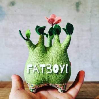 モンスターの投稿画像一覧 Greensnap グリーンスナップ