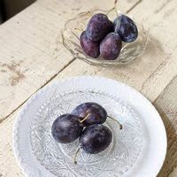 プルーンの育て方 栽培 苗木の植え付け 剪定 収穫の時期や方法は Greensnap グリーンスナップ