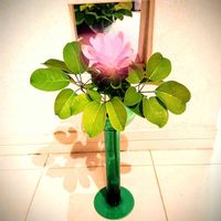 クルクマ,むべ（郁子、野木瓜）,フラワーアレンジメント,ピンクの花,花のある暮らしの画像