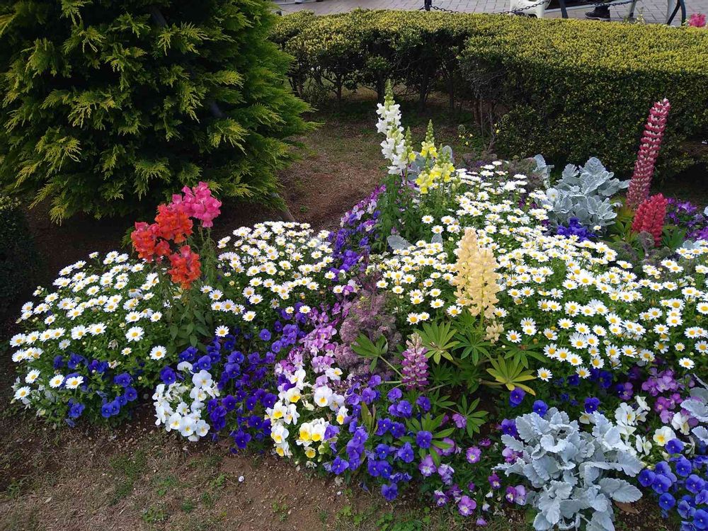 らとさんの山下公園への投稿