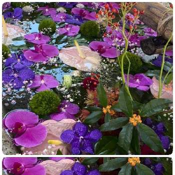 うす紫色の画像 by doraさん | お出かけ先と花手水と花手水イベントとむらさき　好き☆〜とうすむらさきと花手水❤️とうす紫色