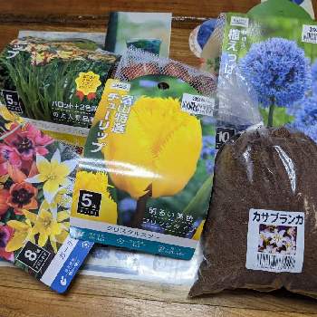 買い物の画像 by 庭の花子さん | キッチンと秋の到来!と一休みとホームセンターにてとおうち園芸と買い物
