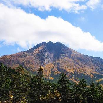 日光白根山の画像 by hagiさん | お出かけ先と紅葉（こうよう）とミラーレス一眼と日光白根山