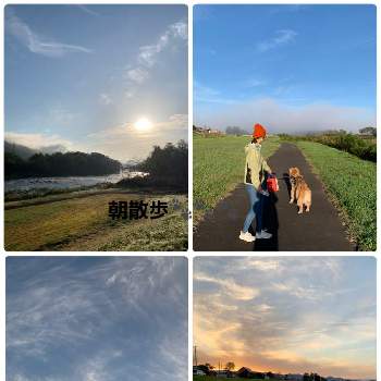 夕散歩の画像 by ウィルママさん | 土曜はお空の発表会と夕散歩と心が落ち着く♡と朝散歩と素敵な時間と素敵✨と綺麗✨