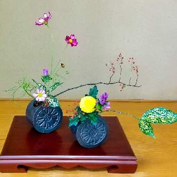 ポンポン菊の画像 by 圭さん | 和室とリンドウとゴットとコスモスとノイバラとポンポン菊と日本の文化と和風ティストと生け花のある暮らしと日本の伝統と自由花といけばなと花のある暮らしと生け花