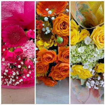 大好きなお花♪の画像 by akeさん | 大好きなお花♪とプレゼントと心落ち着くとお花屋さんと幸せな時間