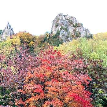 断崖絶壁の画像 by 畔道烏さん | お出かけ先とモミジ(紅葉)と断崖絶壁と紅葉が綺麗と秋の気配だよと鮮やか と花のある暮らし