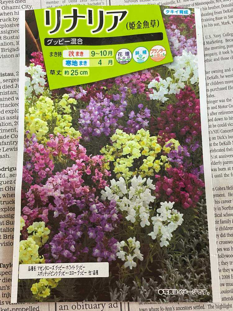 1634086485155_thum_294813_phot