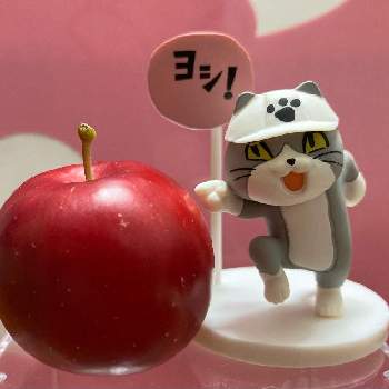 姫国光リンゴの画像 by Emiliaさん | バルコニー/ベランダとヒメリンゴと姫国光リンゴ