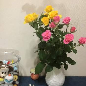 マスコット達の画像 by うたちゃんさん | 玄関と薔薇の花とGS映えとGS日和とマスコット達と小さな アレンジ