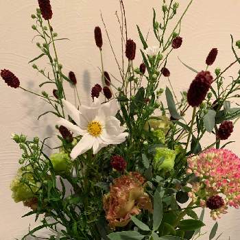 ケイトウ♡の画像 by ジャスミンさん | 階段/廊下とケイトウ♡とわれもこう♪とクジャクソウの花と白いコスモスとトルコキキョウ☆とユーカリ♡とセダムのお花とD.STYLE