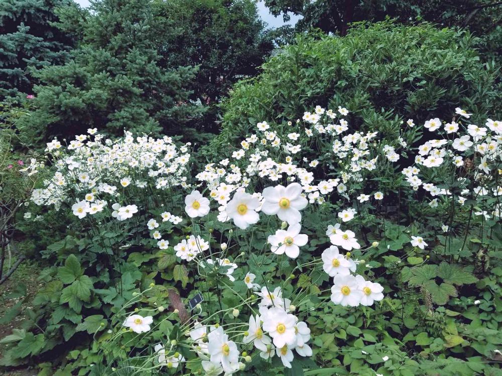 エリィさんの港の見える丘公園への投稿