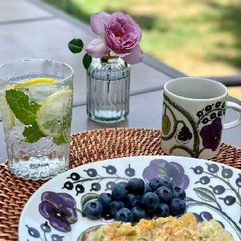 アメリカ コロラドの画像 by noripさん | 玄関とバックヤード 裏庭とコーヒータイムとブレックファーストと今朝の朝食と薔薇のある暮らし♡とアメリカ コロラド