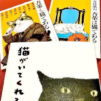 本を読むの画像 by ゆうこさん | 部屋と猫と暮らすと本を読む