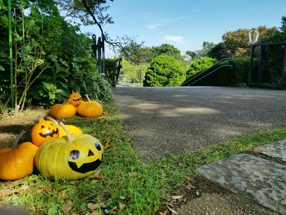 エリィさんの港の見える丘公園への投稿