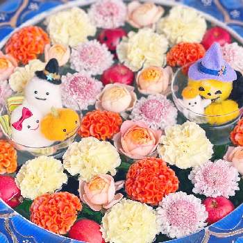 川越市最明寺の投稿画像一覧 Greensnap グリーンスナップ