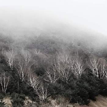 山pic⛰の画像 by K2さん | お出かけ先と山pic⛰とマイナスイオンとわりと好きシリーズ❣️と大自然はいいなぁ〜❣️と紅葉（こうよう）と大自然大好き仲間❣️