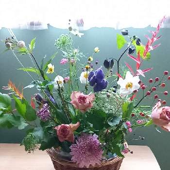 トリカブト属の画像 by 花minamoさん | 部屋とみそはぎ＊とトリカブト属としゅうめいぎく、とありがとうとそばの花ルビーと小さな幸せ♡と花いろいろとガーデニングとフラワーレッスン