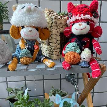 レイジュさんの編みぐるみピック☆の画像 by ゴン太さん | 玄関とハロウィン月間と可愛い❤とダークハロウィンとソクモン祭りと元気に育ててますよとみんなでハロウィンとレイジュさんの編みぐるみピック☆とレシジュさんの編みぐるみ