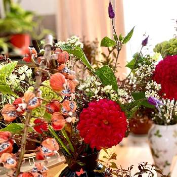 ノスタルジーの画像 by ピコさん | 部屋とノスタルジーと赤いお花と切り花を楽しむとGS映えと美しい♡と元気もらえるとフラワーアレンジメント教室と花いろいろとフラワーアレンジメントと花のある暮らしと花びらの魅力✨といやされるとかわいい❤