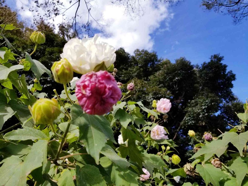 エリィさんの港の見える丘公園への投稿