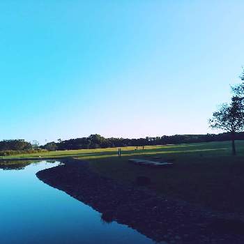 川のある風景の画像 by m＆oさん | お出かけ先と水辺の風景と水元公園と水元公園、中央広場と朝の散歩道と川のある風景