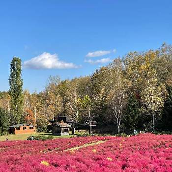 国営滝野すずらん丘陵公園の投稿画像一覧 Greensnap グリーンスナップ