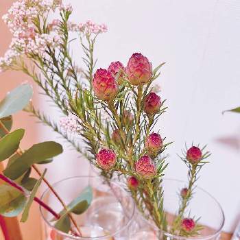 花の飾り方の画像 by niki 可愛いお花屋さんが好きさん | 花の飾り方とガラスの花瓶とお花のある生活と花は癒やし♡と切り花