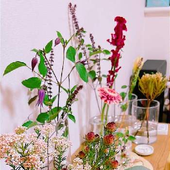 花の飾り方の投稿画像一覧 Greensnap グリーンスナップ