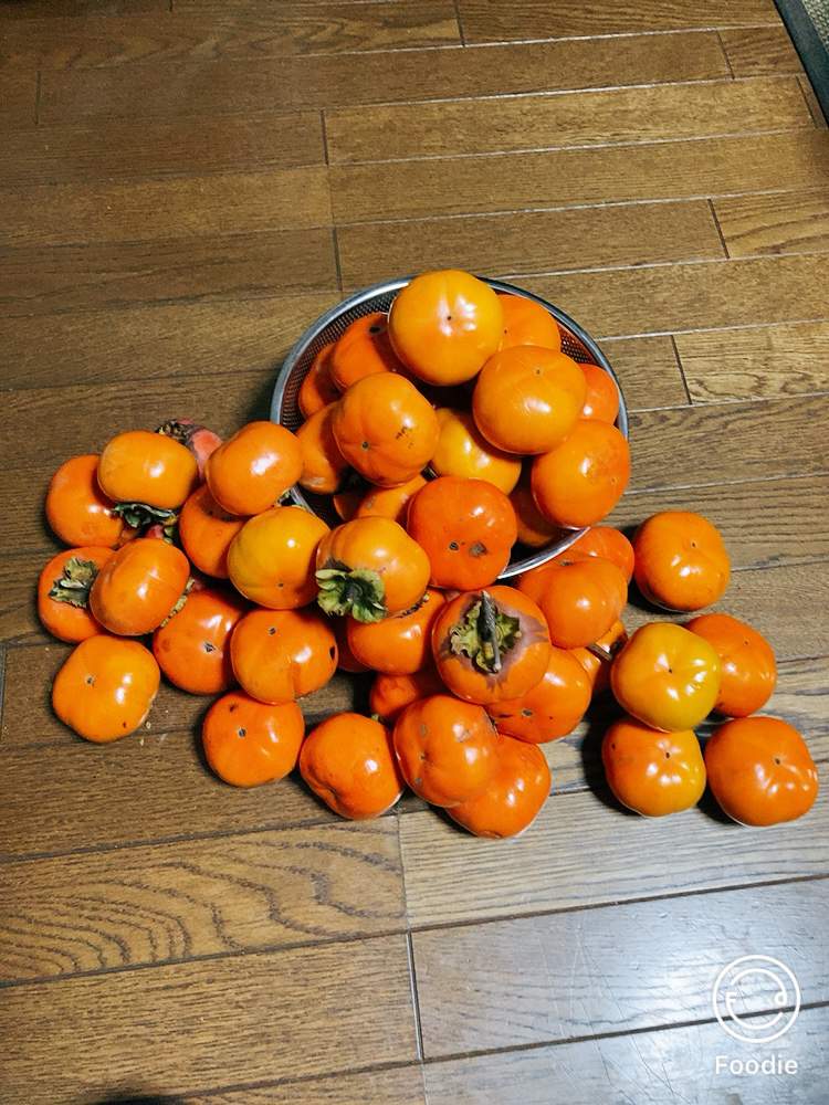 小さな庭の投稿画像 By Rmkooさん 果物と植木と実のなる木と庭の植木と果物と植木と実のなる木と庭の植木 21月10月26日 Greensnap グリーンスナップ Greensnap グリーンスナップ