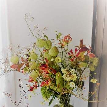 投げ入れの投稿画像一覧 Greensnap グリーンスナップ