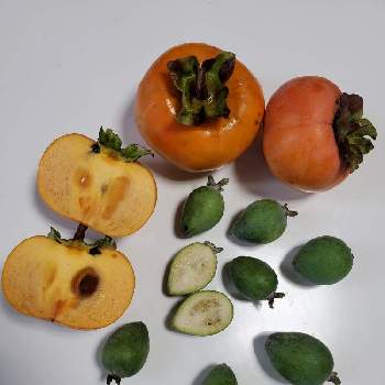 かき　　柿の画像 by まりゆりさん | かき　　柿と柿の実とフェイジョア 実とフェイジョアと次郎柿と果実