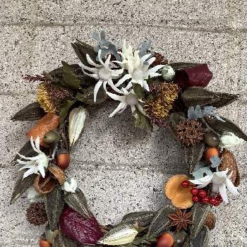 手作りリースの投稿画像一覧 Greensnap グリーンスナップ