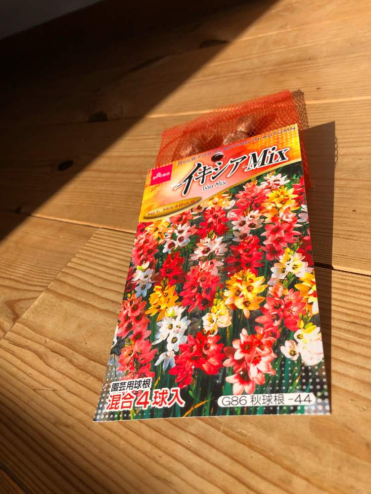 イキシアmix Greensnap グリーンスナップ