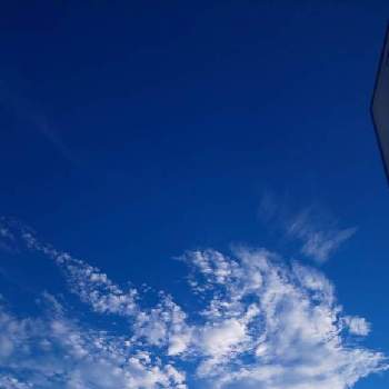 雲雲雲の画像 by ❦THE HERMIT❦さん | お出かけ先とススキと本来の色と秘密のpicとヒカリと風の中と雲雲雲