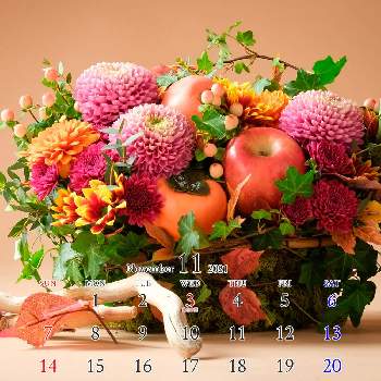 スプレー咲きの画像 by イノチオ精興園 e-mumshopさん | 部屋とスプレーキク(スプレーマム)と赤色の花と紅色と切り花を楽しむとイノチオ精興園とスプレーマム。とキク科とスプレー咲きと花のある暮らしとマム♪とキク❁と切り花と癒しのひと時