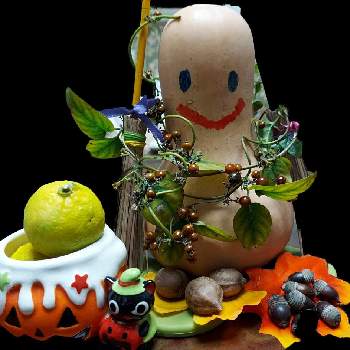 ドングリの画像 by パープルさん | 部屋とユズとレモングラスのほうきとヘクソカズラ黄金の実とHAPPY HALLOWEEN！とクルミ·ドングリと果樹栽培と茨城県と2020年5月同期と秋の草花と収穫青柚子と可愛い美とハロウィン装飾とヘクソカズラの実と家庭園芸と木の実とドングリとクルミ☆とみんなでハロウィンとダークハロウィンとピーナッツバターカボチャ