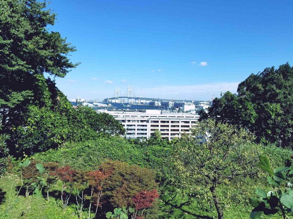 エリィさんの港の見える丘公園への投稿