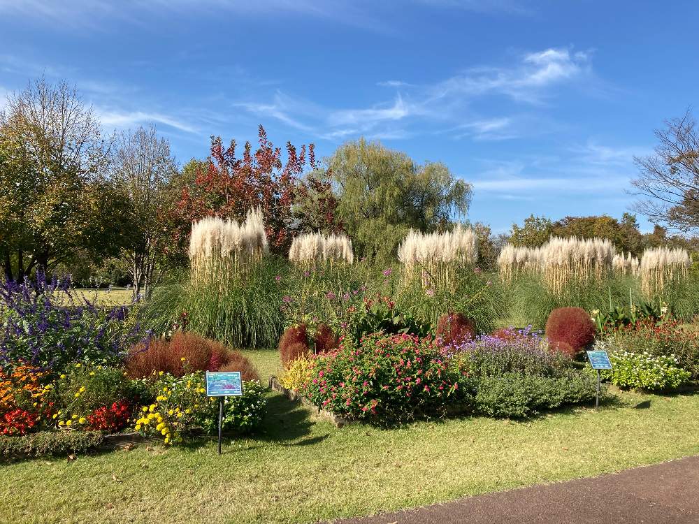 21年10月30日 土 富山県中央植物園に私も行ってきたよ Greensnap グリーンスナップ