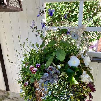 イーアスつくばの投稿画像一覧 Greensnap グリーンスナップ イーアスつくばの投稿画像一覧 Greensnap グリーンスナップ