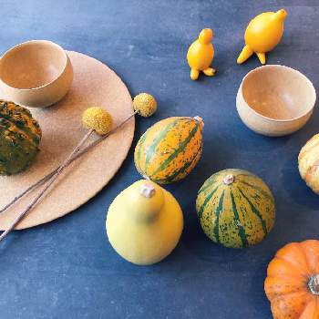 ハローウィンかぼちゃの画像 by TOKINOHA   さん | インテリアとTOKINOHA Ceramic Studioと@tokinoha_kyotoとうつわとハローウィンかぼちゃとかわいい❤︎