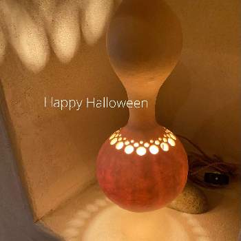 ひょうたんの画像 by takaさん | インテリアとひょうたんとガーデニングと花のある暮らしとひょうたんランプとクラフトとハロウィン