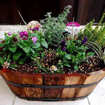 信貴山の花屋さん 岡本ガーデンの投稿画像一覧 Greensnap グリーンスナップ