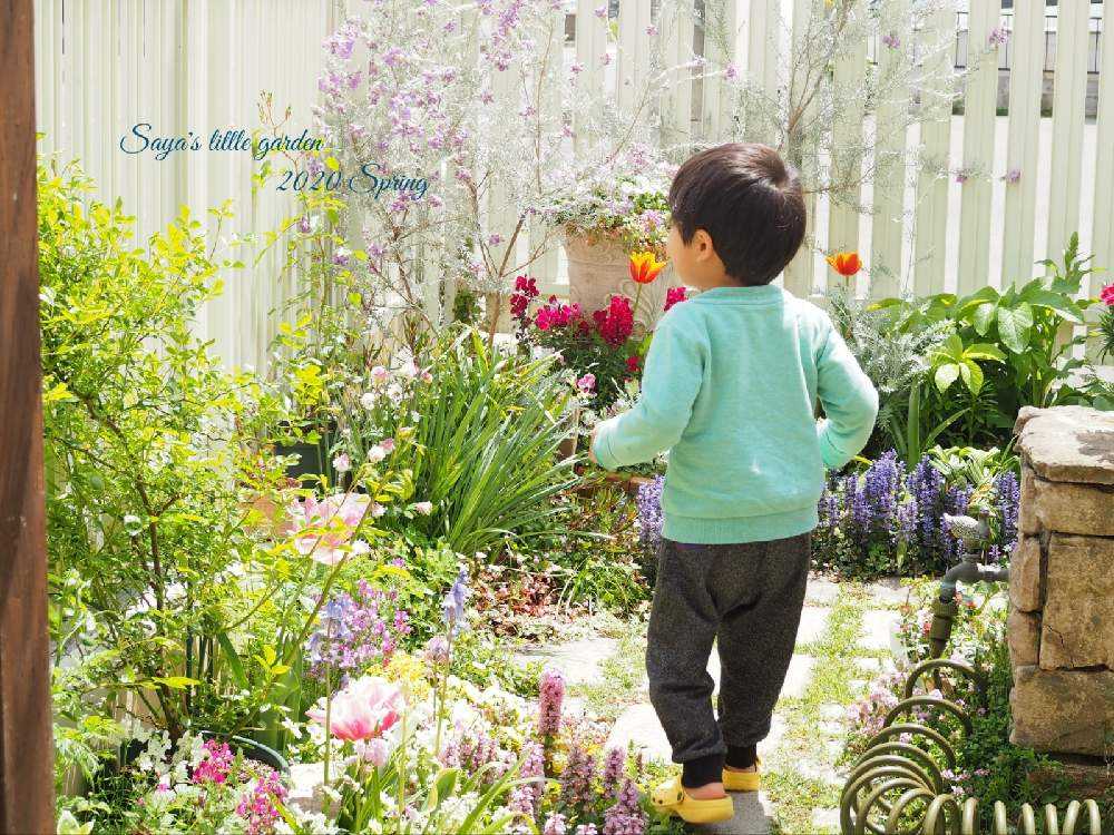 お気に入り フラワー 春の花壇 ももの様専用 ミニチュア その他 Www Smithsfalls Ca